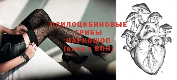 мдпв Каменка