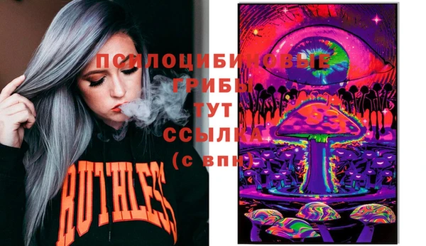 мдпв Каменка