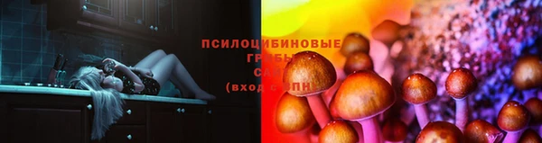 таблы Карпинск