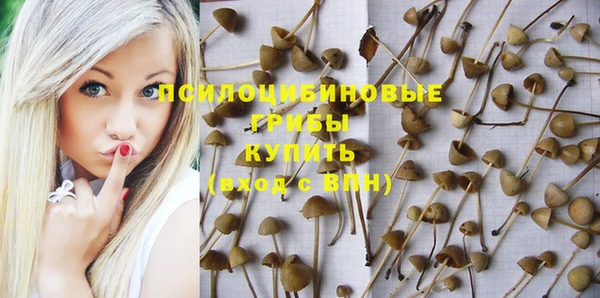 метадон Каменск-Шахтинский
