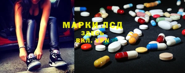 мдпв Каменка