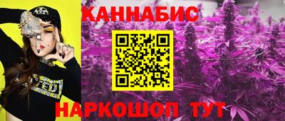 стафф Кандалакша
