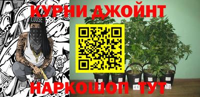 стафф Кандалакша