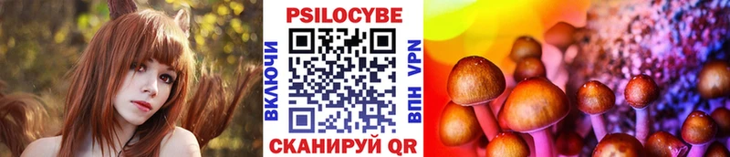 магазин    Сланцы  Галлюциногенные грибы MAGIC MUSHROOMS 