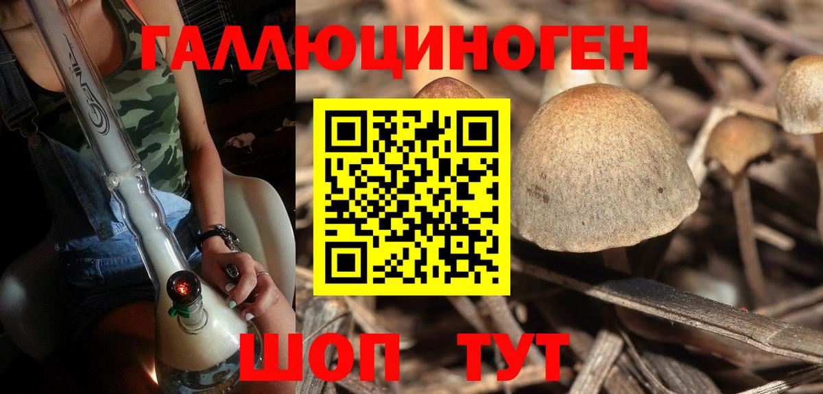 Сланцы  Псилоцибиновые грибы Psilocybe  Вход с VPN 